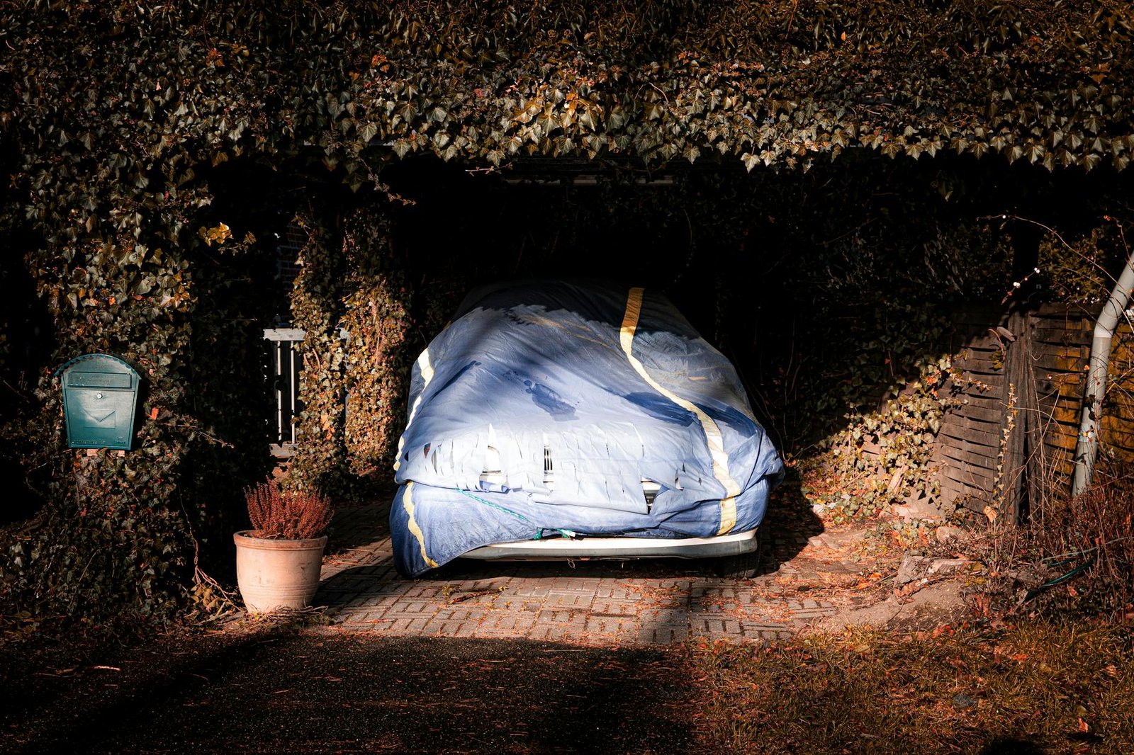 Garage items sorted on driveway during decluttering process